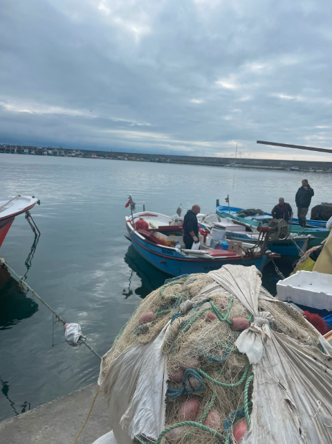 Trabzon Faroz Limanı